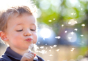 Your Children: A Tax Blessing to You